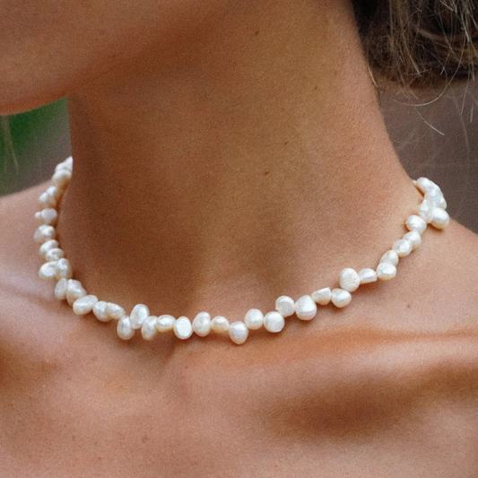 CHOCKER DE AGUA DULCE II