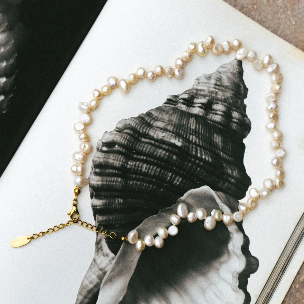 CHOCKER DE AGUA DULCE II