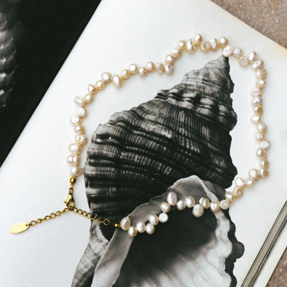 CHOCKER DE AGUA DULCE II