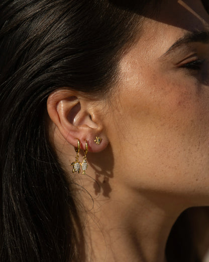 Gante